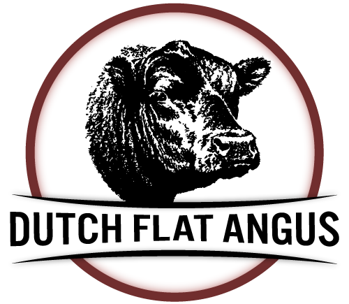 Dutch Flat Angus logo